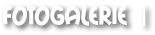 Fotogalerie